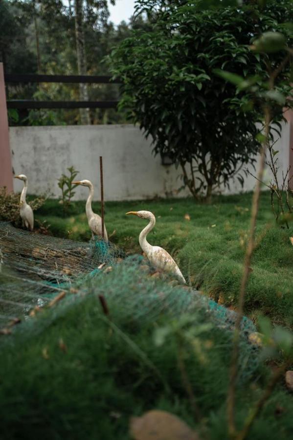 Vythiri Villas Wayanad Exterior photo