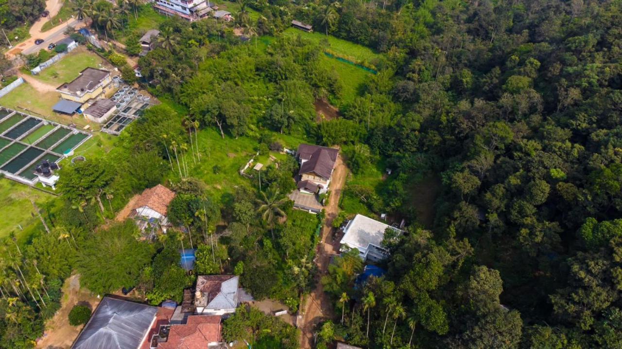 Vythiri Villas Wayanad Exterior photo