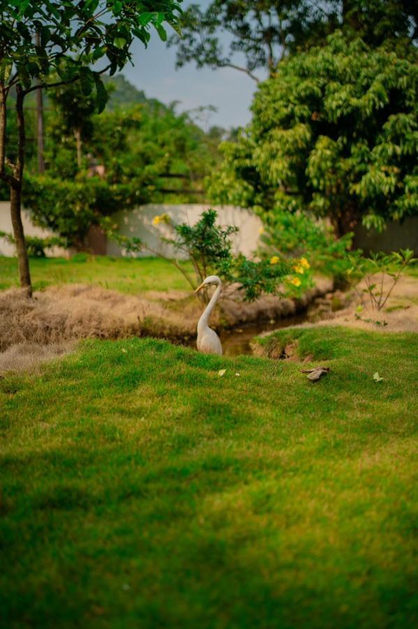 Vythiri Villas Wayanad Exterior photo